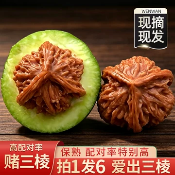 大粗筋文玩核桃-大粗筋文玩核桃促销价格、大粗筋文玩核桃品牌- 淘宝