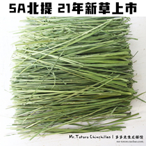 2 pieces of 21-year new grass spot member multi-leaf Timothy grass high quality drying North mention 500g