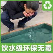 Waterproof paint environmental protection pool toilet drinking water pool repair waterproof glue leak-proof gutter base base waterproof material
