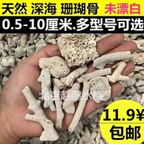 Natural coral bone Hustle filter landscaping large large coral bone improved PH filter water purification seawater sand