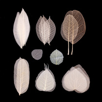 Natural leaf vein bookmarks various handmade material leaf vein leaf vein DIY material label sticker specimen