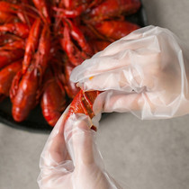 Disposable Gloves Durable Household Catering Kitchen Food Grade CPE Hygienic Transparent Gloves 100 Fit