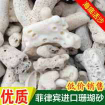 Special coral sand fish tank filter material Philippine coral sand coral bone improvement PH filter water purification seawater sand