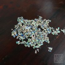 The snails narrow New Zealand abalone painted and decorated with a work room.