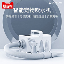 Pet special water blower dog hair dryer high power noise reduction large dog cat special drying hair blowing artifact