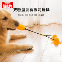 Pooch sucker pull toy dog pet ball large dog resistant to bite yourself to play with supplies Gold mullabrador grinding teeth