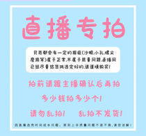 Hermit crab replacement conch shell aquarium fish tank landscaping decoration natural shell handmade diy full 48