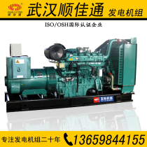 200KW KW Guangxi Yuchai machine brush brushless diesel generator set(Wuhan Hubei)