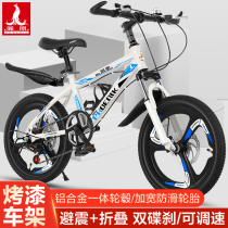 Phoenix childrens bicycle 8-10-15 years old boy female 20 inch student variable speed bicycle middle and large childrens disc brake mountain