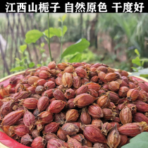 Jiangxi Mountain Gardenia Yellow Gardenia Flower Tea 500g Sulfur-free dried Chinese herbal medicine medicine Brine meat color natural pigment