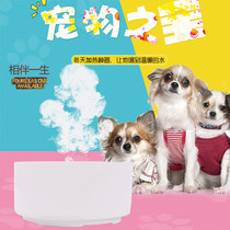 Pet automatic drinking fountain dog cat heating constant temperature drinking water feeder unplugged automatic drinking bowl ceramic
