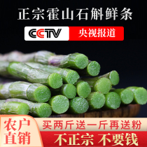 Fresh Huoshan iron Dendrobium fresh strips Maple bucket can be ground authentic dried strips now collected gift box of Chinese Herbal medicine 500g