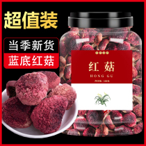 Russula authentic Fujian Sanming Wuyishan red fungus wild fresh red mushroom dry goods non-500g Rhodococcus spp. Yunnan