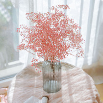 Eternal starry dried flower bouquet Natural real flower Air-dried ins home decoration ornaments Net red starry dried flowers
