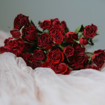 Multi-head rose dried flower bouquet natural air-dried real flower Home decoration ornaments Rose rose ins photography props