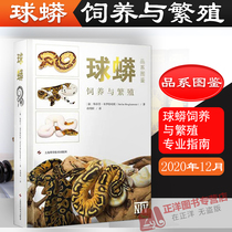 Ball python breeding and breeding category guide Ball python book Ball python Daquan Climbing pet ball python breeding book Chinese version professional guide Biological characteristics Ball python knowledge Shanghai Science and Technology Press