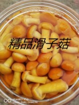 3000g*1 bucket of fresh slider mushrooms barrel-packed edible mushrooms clear water mushrooms wild mountain mushrooms