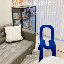 Designer Chairs Profiled Art Nets Red Siphon Chair Light Lavish Photo Casual Minima Creative Backrest Superior Dining Chair