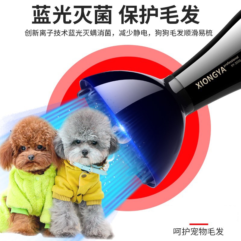 Teddy pet air blower Water blower Large dog animal hair blowing mute dog cat pet shop special high power