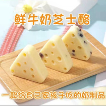 Xinjiang Hair Cheeses Cheese Original Taste Eurostyle Cheese 500 gr Independent Small packets Nemonte to produce children nutritious snacks