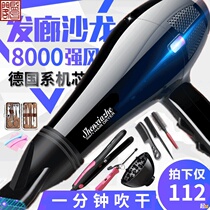 Electric hair dryer Home High power speed dry hairdresshop 8000w mute thermostatic hair dryer Large wind hostel hair salon