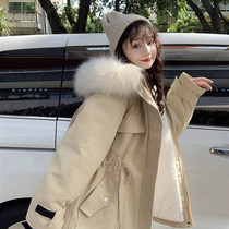 Pregnant womens cotton-padded winter Korean drawstring big hair collar plus velvet thickened pregnant womens coat and wool warm coat cotton-padded jacket winter