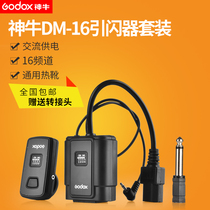 Shenniu DM16 Canon Nikon wireless remote control trigger studio light trigger studio flash transmitter