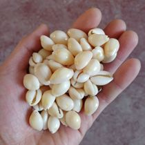 Feather Flowers Decoration Shells Handmade DIY Feather Wall Hangings Accessories Accessories Material Decorative Handiwork