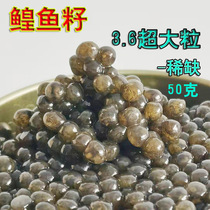 Scarce super large particles 3 6 high-end dashi caviar sushi 50g black sturgeon caviar ready-to-eat fresh A grade