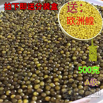 Buy One Get One Get One Send European Jumi Caesar Sauce Sushi 500g Russian Sturgeon Caviar Instant Fresh A- Grade Shunfeng
