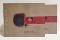 Hunan Province Yiyang Tea Factory 2011 Expo Xiangyi Pian Tea Tea Cake Anhua Black Tea Gold Flowers Lush and Brick Tea