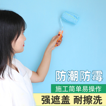 Paint interior wall home self-painted wall paint white paint interior paint tasteless paint Wall renovation latex paint color