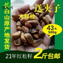Wild red pine nuts large particles Northeast Changbai Mountain specialty New raw pine seeds Fresh 500g pregnant women
