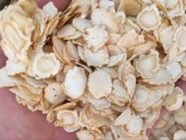 Buy a free total of 500 grams of authentic American ginseng sliced flower ginseng lozenges
