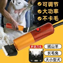 Professional Belt Line Pet Electric Pushcut 200W High Power Electric Shaved Wool Electric Pushback Rabbit Fur Pooch Hair Cut