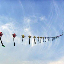 Weifang kite Beijing shop childrens kite cartoon series small string kite Diamond string breeze kite fly