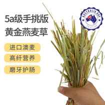 Grade 5A hand-picked version imported Australian gold oat grass hay pasture bunny Chinchilla 500g