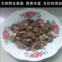 New Goods Small Mushrooms Mushrooms Money Mushrooms Natural Growth Hills Picking Small Flower Mushrooms Thick and fragrant 500g
