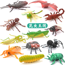 Childrens insect toy plastic simulation animal model Spider butterfly bee centipede Ant size ornament set