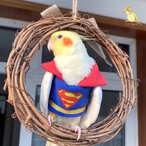 Parrot Flying Peony Peony Tiger Leather New Year Dress Nets Red Plus Cotton Thickened Walking Bird Clothes Superman OVER WINTER CLOTHES