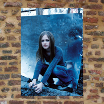 Avril Lavigne poster DG305 full 8 sheets of Baumail Avicle Lavini avrillavigne poster