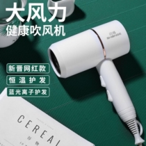  Small hair dryer fan portable foldable net celebrity hammer small power electric hotel dormitory household sound small