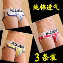  Huajie Long pure cotton mens underwear low waist U convex sexy fashion briefs three-pack trendy mens cotton personality