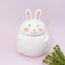 Super Cute ceramic decoration cute small ornaments storage cans sundries hand-painted ornaments box simple fat rabbit cans