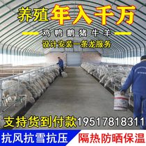 Special steel pipe skeleton for breeding greenhouses customized hot-dip galvanized elliptical pipe cattle and sheep shed pig house goose rabbit chicken farm greenhouse