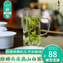Green tea 2021 new tea on the market rare white tea early spring tea Mingbefore the special head pick Gaoshan Anji White Tea 50g