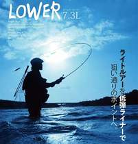 Fishman Beams series lu ya gan