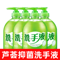 Aloe liquid hand sanitizer foam is rich and does not hurt hands moisturizing and cleaning household press type bottle fragrance 500g