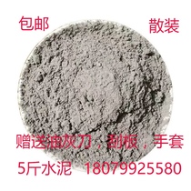 5 pounds of bulk cement repair cracks masonry wall waterproof leak quick-drying leak-proof high strength bathroom floor planter