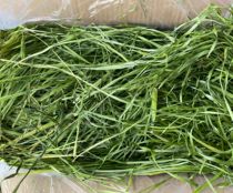 21 Years New Herda Fruit Tree Grass Dried Grass Bunny Dutch Pig Hay Forage Gross Weight 1kg